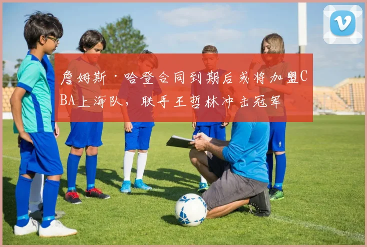 詹姆斯·哈登合同到期后或将加盟CBA上海队,联手王哲林冲击冠军